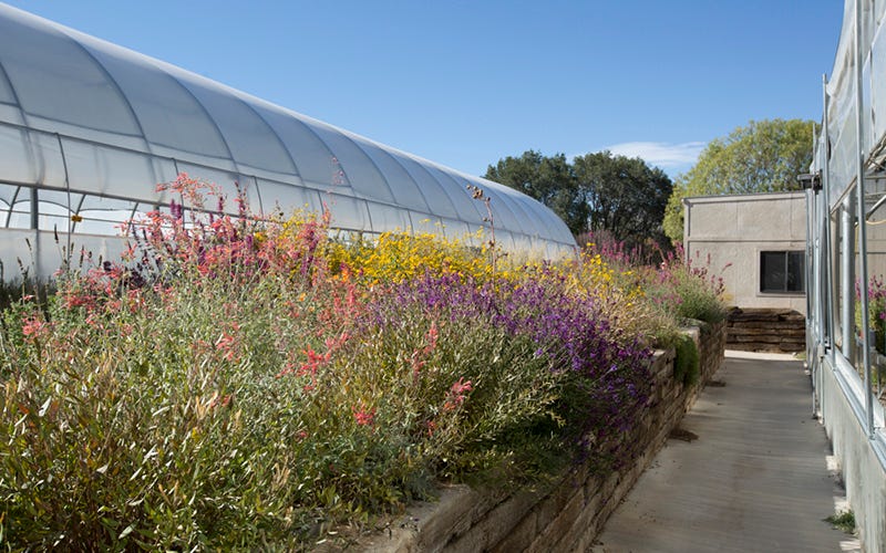 Development greenhouses and test gardens in Santa Fe, New Mexico.