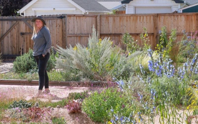 Waterwise Garden Inspiration In The Mile High City