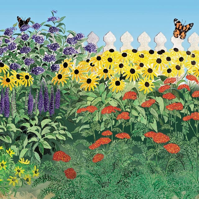 Butterfly Paradise Pre-Planned Cottage Garden