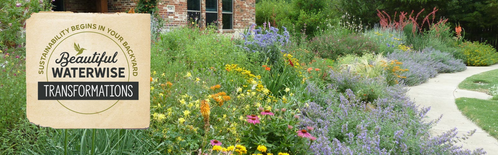 A large perennial garden with nepeta, coreopsis, echinacea, columbine, kniphofia, and more!