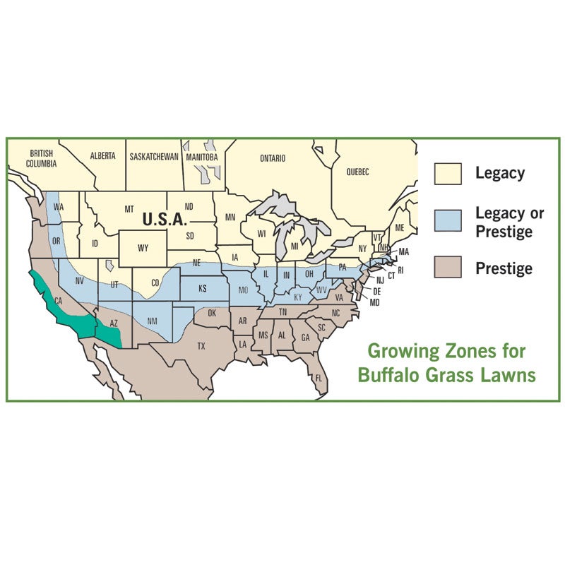 Buffalo Grass Growing Map