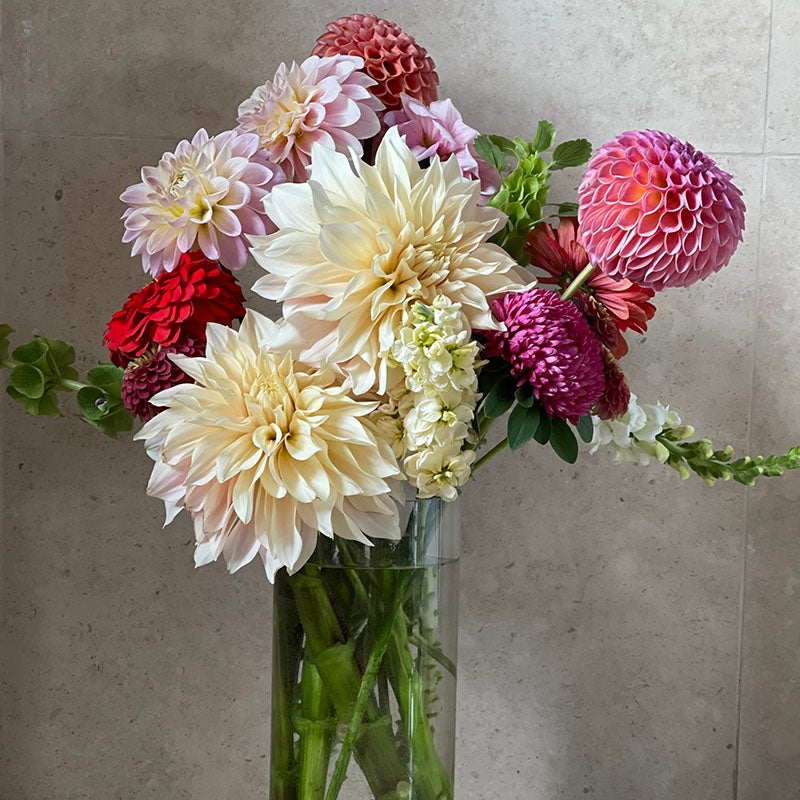 Café au Lait Dinnerplate Dahlia in bouquet with other dahlias