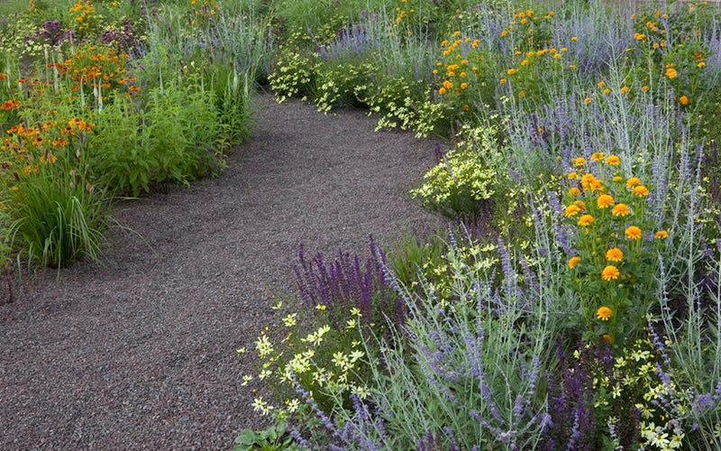 Mixed perennial garden