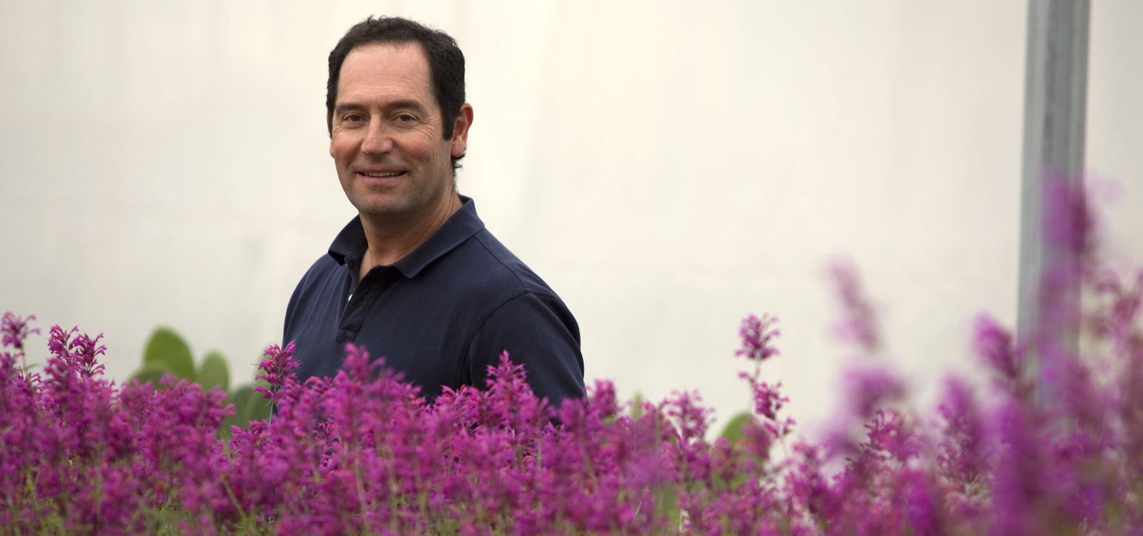 David Salman and agastache plants in the greenhouse