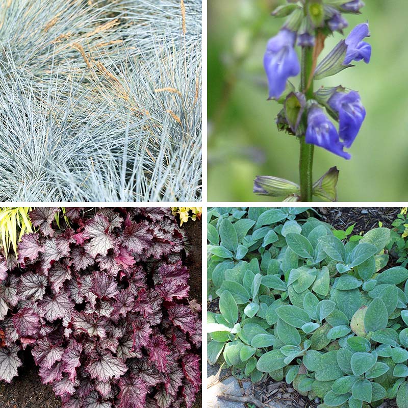 Dry Shade Container Collection
