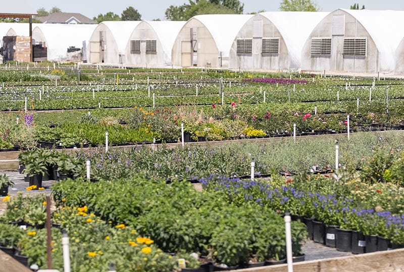 exterior view of perennial greenhouse