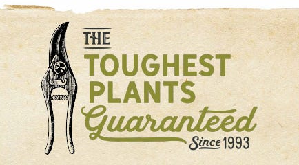 toughest plants guarantee