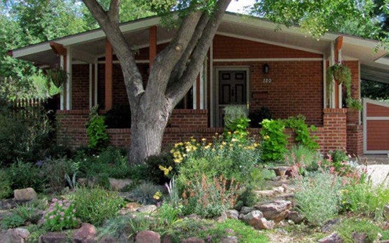 A Habitat Hero Wildscape In Boulder