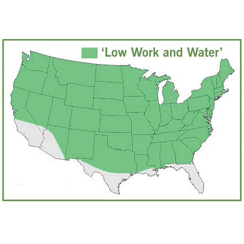 Low Work and Water Dwarf Fescue Grass Seed Map