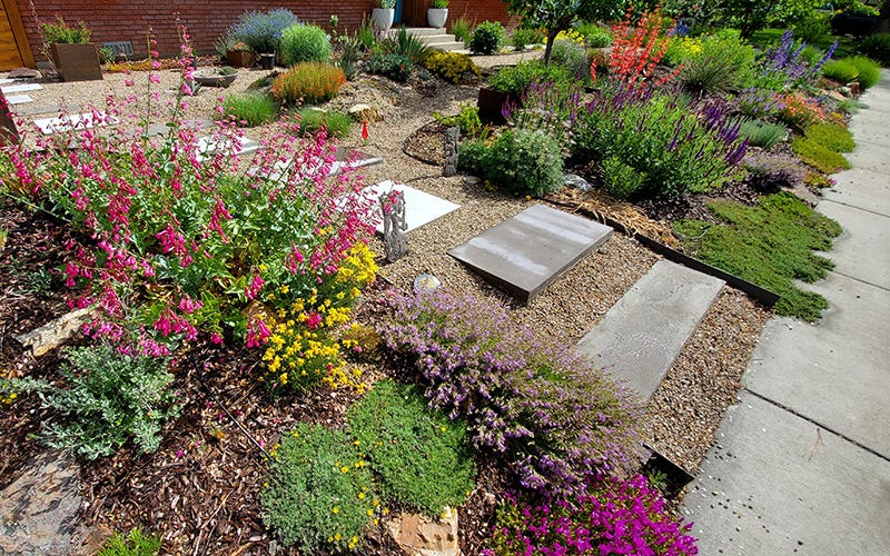 Customer Garden: Replacing A Bluegrass Lawn With Bold Color In Boise