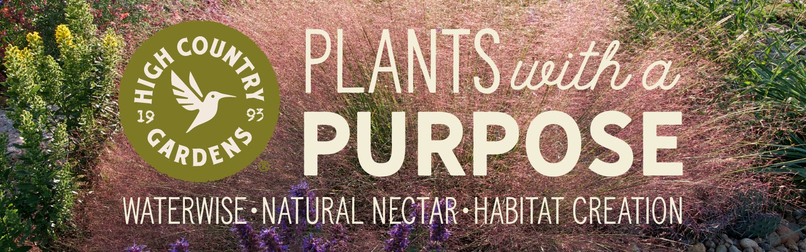 Plants With A Purpose: Waterwise, Natural Nectar, Habitat Creation