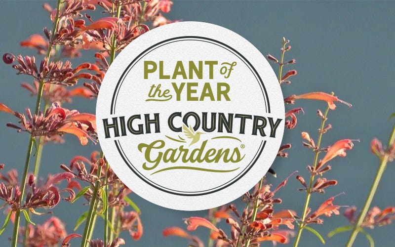 High Country Gardens Plants Of The Year