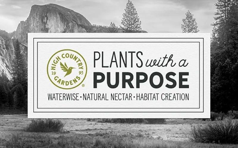 Plants With A Purpose: Waterwise, Natural Nectar & Habitat