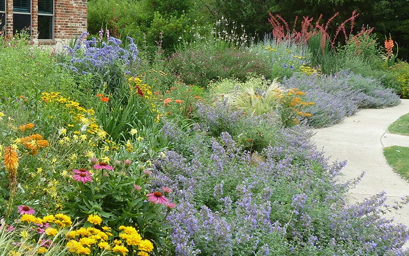 An English-Inspired Wildscape Garden In Northern Texas