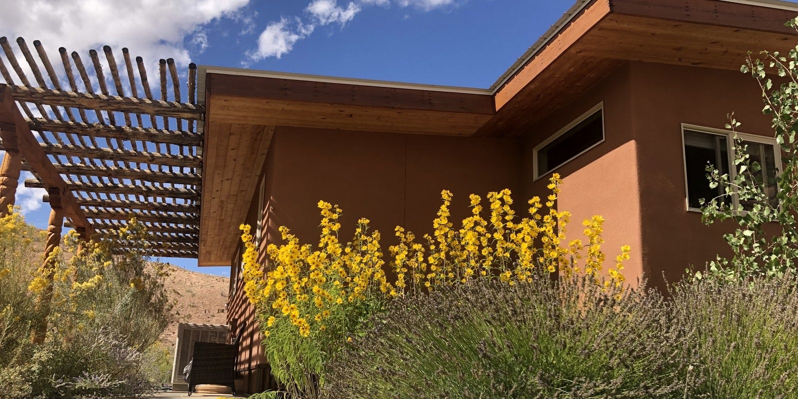 Our customer enhanced their beautiful Southwestern home with waterwise plants including Rabbitbrush, Maximilian Sunflower and Lavender.