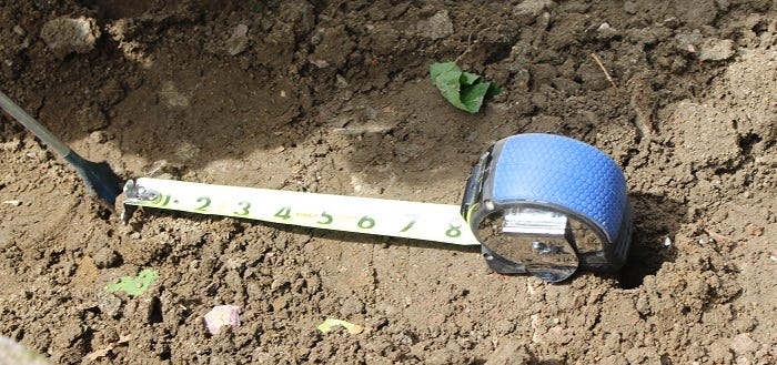 tape measure on soil 