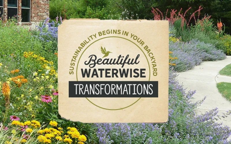 Beautiful Waterwise Transformations